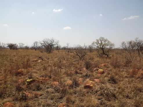 Vacant Land in Honingnestkrans For Sale