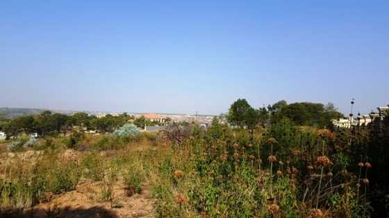 Vacant Land  Plot For Sale in Mooikloof, Pretoria