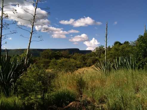 Vacant land x 2 for sale in Ohrigstad, in the old Oos-Transvaal