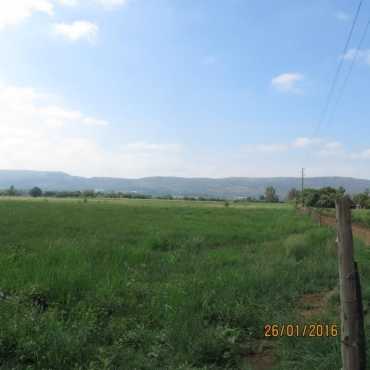 very big and stunning farm for sale in pretoria west