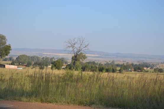 VLEIKOP RANDFONTEIN