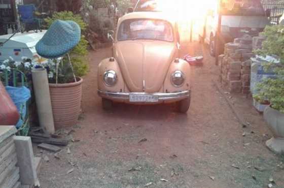 Vw beetle .1.6sp