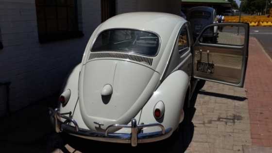 VW Beetle 1960