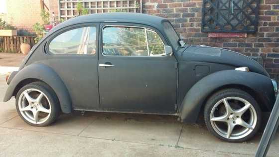 Vw beetle