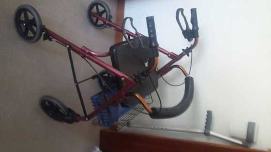 Walker wheelchair