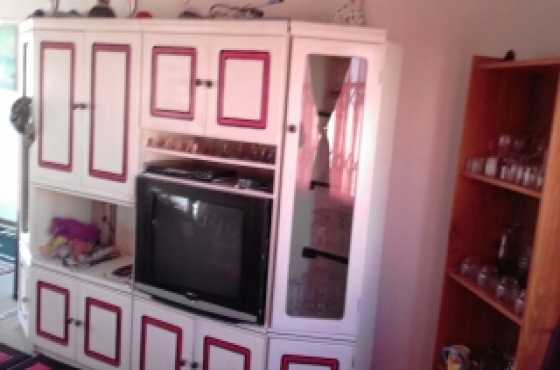 wall television unit