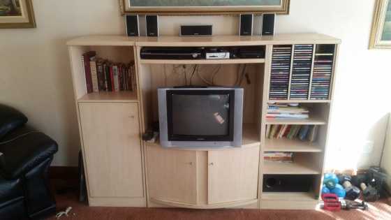 WallTV unit