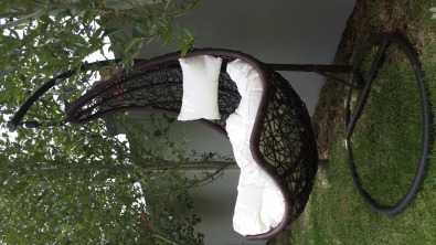 Wicker Free Standing Hammock chair