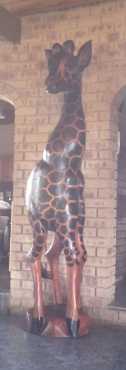 Wooden life size giraffes R3000 each