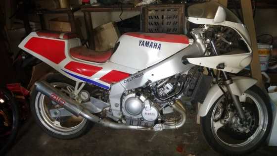 Yamaha FZR250