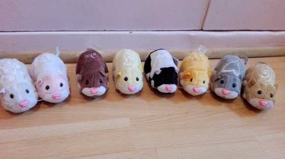 Zhu Zhu pets