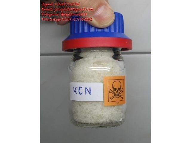 Signal..(@Realjames.39) WHERE YOU CAN BUY WEED ONLINE IN KUWAIT, ASIA, MIDDLE EAST AND QATAR Buy weed,cbd oil, vape in #dubai#qatar