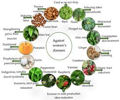 powerfulherbalisthealer.co.za +27810122467 Am a powerful healer who can help with connecting you with the ancestors spirits. I facilitate the deepening of your relationship to the spirit world to seek answers. I also help with: ** FINANCIAL PROBLEMS 