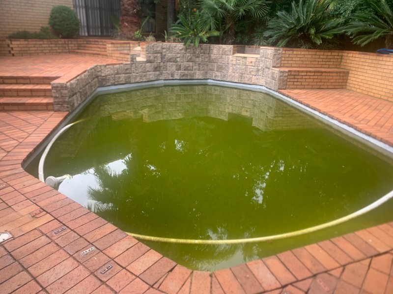 Professional Pool Services Expert Care for Your Pool
