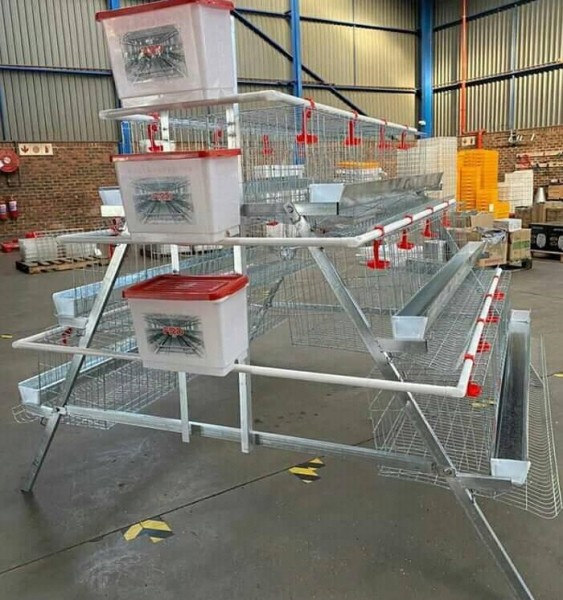 Chicken Layer Cages Call/whatsapp +27 83 245 8210
