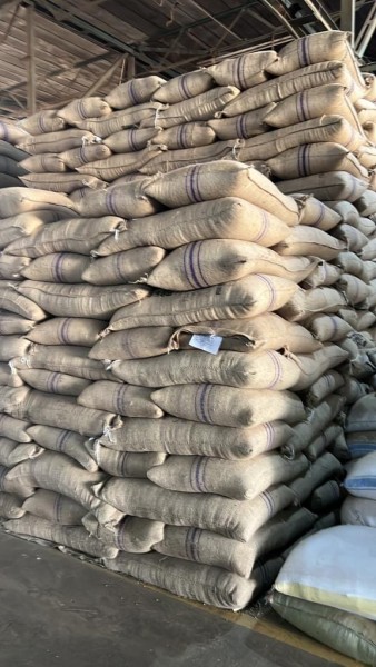 Green Coffee beans (Arabica Coffee) Grade: AA, A, and AB+27719755564