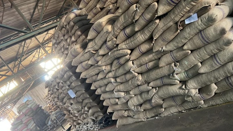 The Green Coffee beans (Arabica Coffee) Grade: AA, A, and AB+27719755564