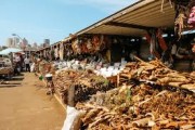 Best Spell Caster to Bring Back Your Ex – Powerful Lost Love Spells by Dr. Esatu in South Africa  Are you heartbroken and searching for the best spell caster to bring your ex back?