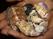 VOODOO REVENGE DEATH SPELLS, +27717581948 LOST LOVE SPELLS CASTER IN Austria, Court Case Spells to Get Charges Dismissed in Belgium, Bulgaria, Croatia, Czech Republic, Denmark, Finland, Spain, Greece, France, Germany, New Zealand, Hungary, Ireland, I