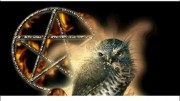 Talent and leadership witchcraft