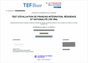 WhatsApp +31 687546855 Buy tef, tcf Canada certificate without exam  