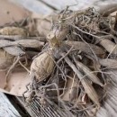 Limpopo's Destroy witchcraft +27735222291 binding love spells -Messina, Mutale, Nkowankowa, Phalaborwa, Soekmekaar, Thabazimbi, Thohoyandou