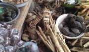 ฿£⓫ IN Port Elizabeth  [+27764410726] A TRADITIONAL HEALER in vanderbiljpark &Queenstown; / SANGOMA in East London , East Rand , Elliot , Engcobo , Fort beaufort , Fourways , Idutywa , Kathu , Kuruman , Lady frère , Lichtenburg , Mount Fletcher , Nel