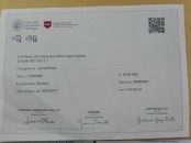 WhatsApp  +31 6 87546855 Buy PLIDA Italian language certificate without the exam