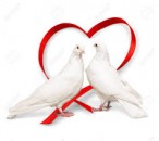 Bring Back Lost Lover Spell That Works Fast | Dr. Esatu – Powerful Love Spell Have you lost someone you truly love and wish they would come back to you? Don’t lose hope — Dr. Esatu's Bring Back Lost Lover Spell is designed to reunite broken hear