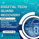 How Digital Tech Guard Recovery Helps Victims Understand Wallet Attribution