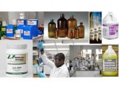 +27833928661  Ssd Chemical Solutions For Cleaning Black Money In USA,UAE,UK,Kenya,Kuwait,Oman,Dubai,Qatar,Mozambique,Moldova