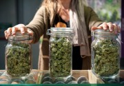Buy Cannabis Online in Australia