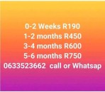 HOPE WOMEN'S CLINIC 0633523662